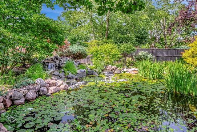 a view of a garden with plants and large trees