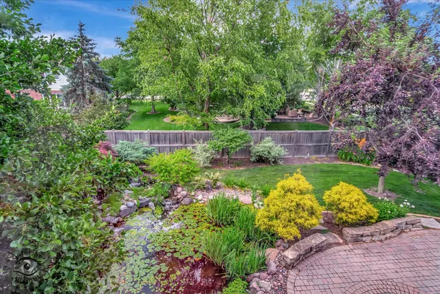 a view of a garden with flowers