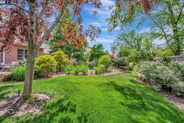 a view of a yard with plants and a large tree
