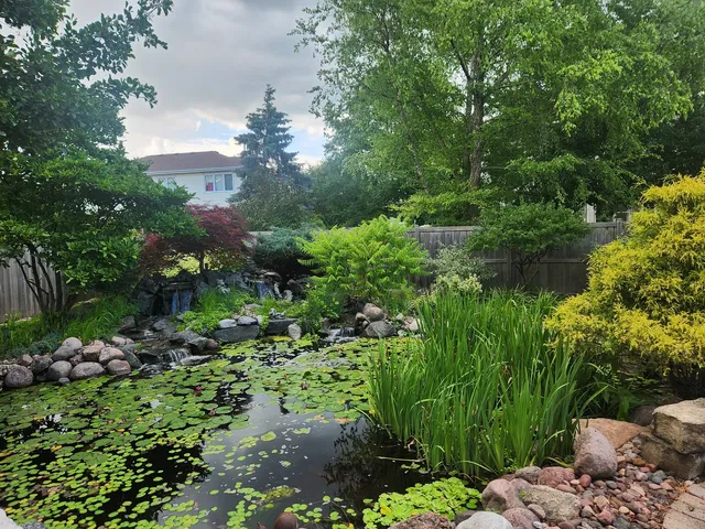 a view of a garden with a fountain