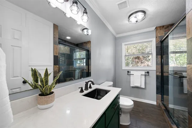 a bathroom with a sink a toilet and a mirror