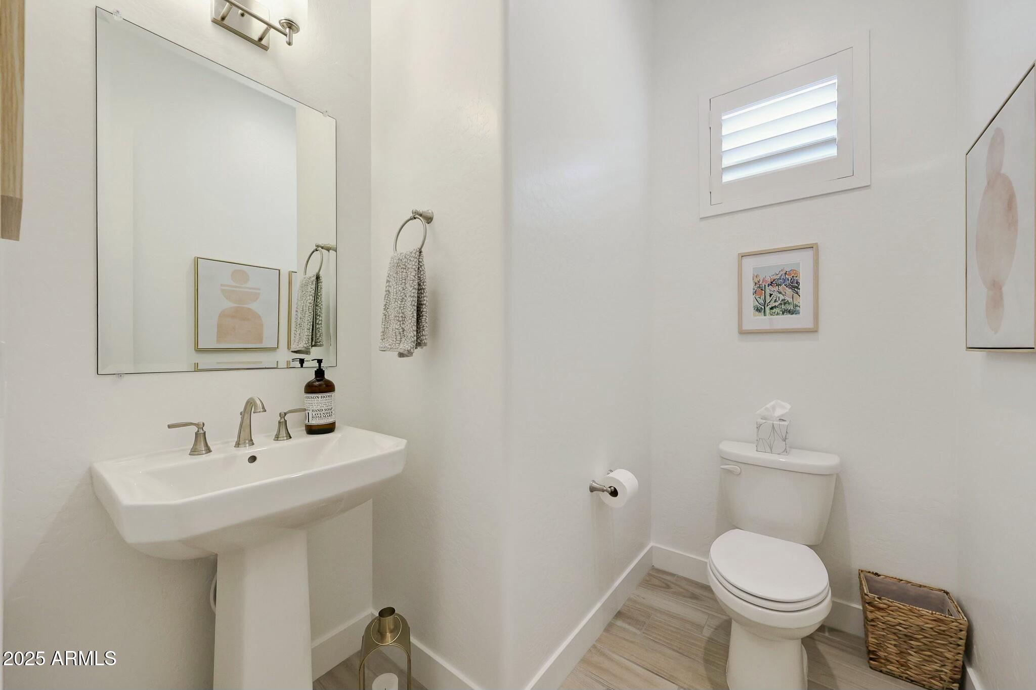 20727 West Medlock Drive Buckeye, AZ 85396 - Photo 18 of 42 Powder Room