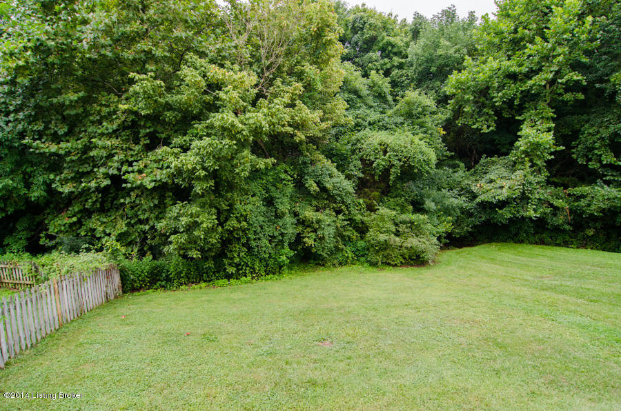 11014 St Rene Road Louisville, KY 40299 - Photo 33 of 34 View of Back Yard