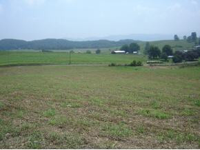0 Ward Rowe Road, Unit 11 Jonesborough, TN 37659 - Photo 6 of 8 Photo 6