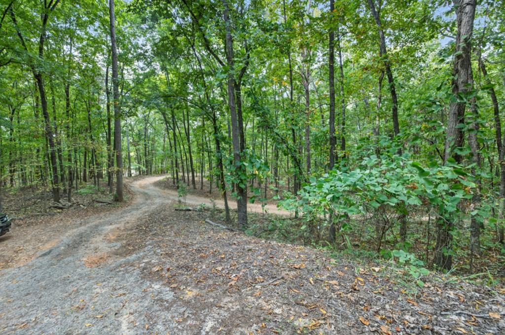 256 Robin Hood Ln N East Fairmount, GA 30139 - Photo 38 of 52