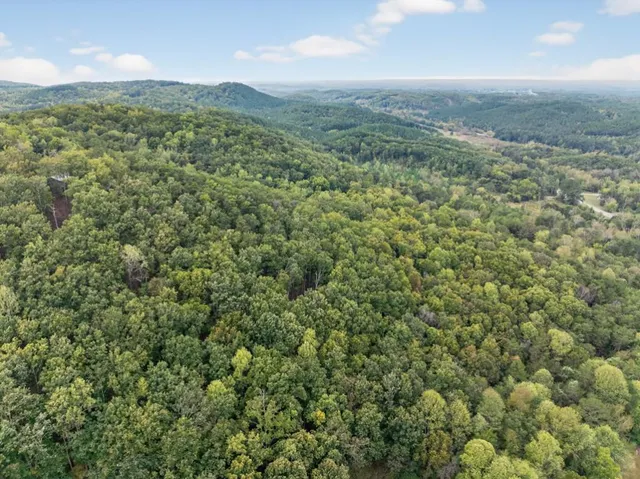 $230,000 | 256 Robin Hood Ln N East, Fairmount, GA 30139