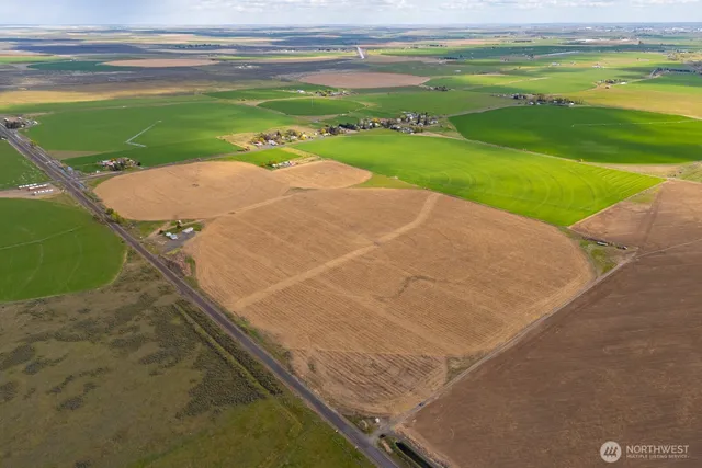 a view of a big yard with an empty space and outdoor seating