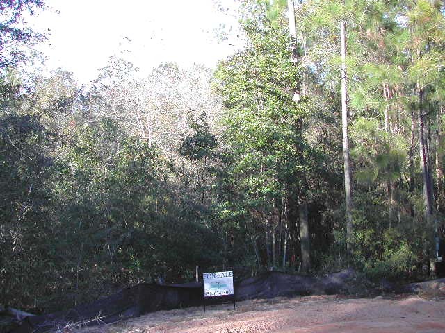 8 B Carlos Ct Point Santa Rosa Beach, FL 32459 - Photo 1 of 1 Primary Photo