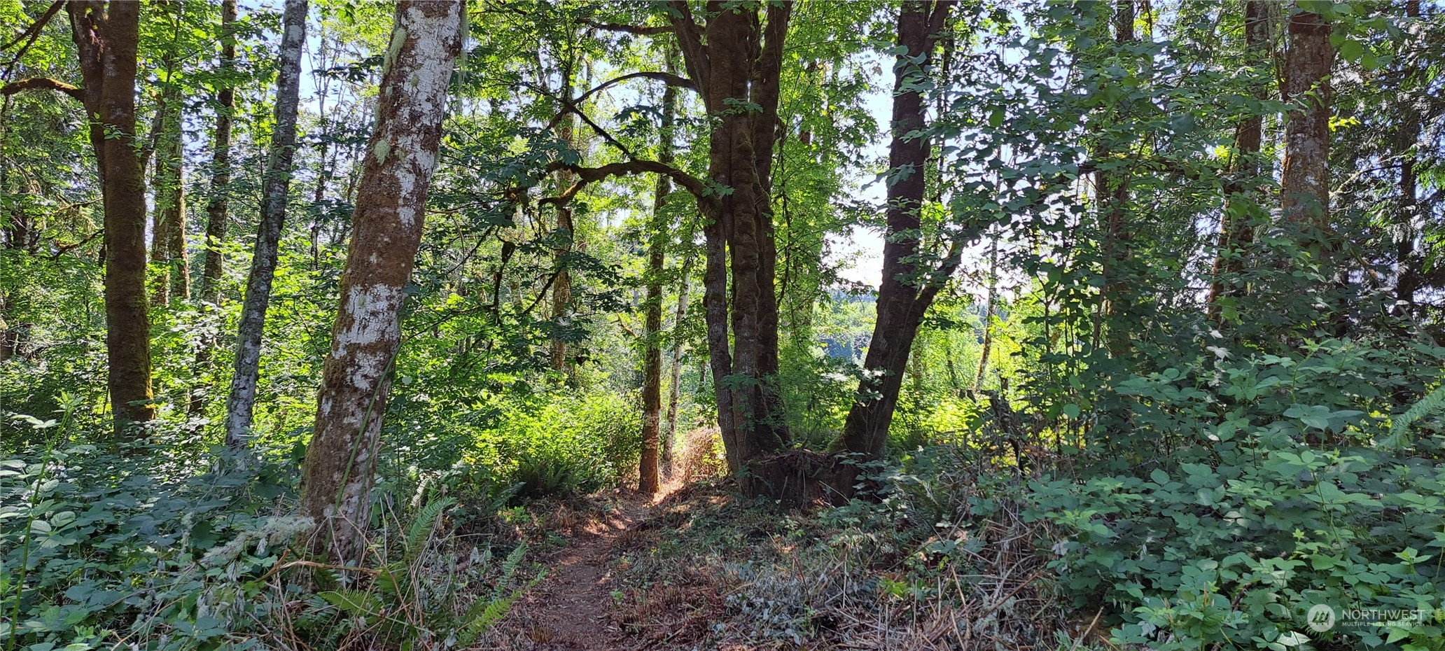 0 Loop Road Centralia, WA 98531 - Photo 1 of 12