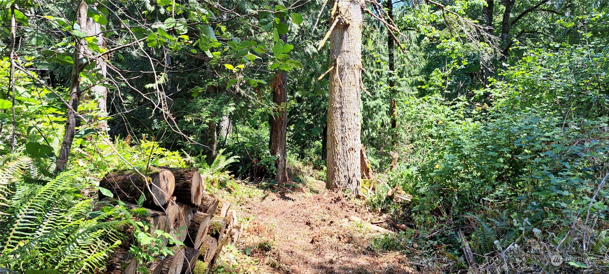 0 Loop Road Centralia, WA 98531 - Photo 7 of 12