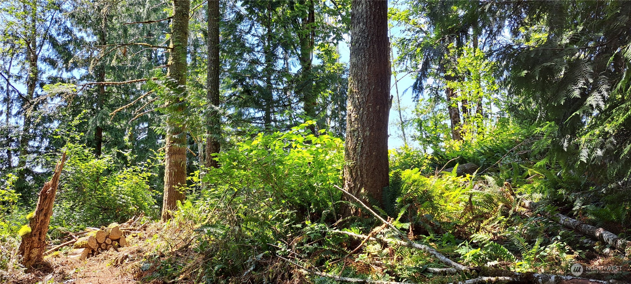 0 Loop Road Centralia, WA 98531 - Photo 8 of 12