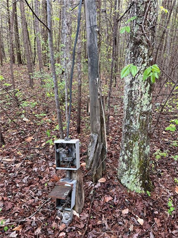 5001 Mecum Road Walkertown, NC 27051 - Photo 15 of 17