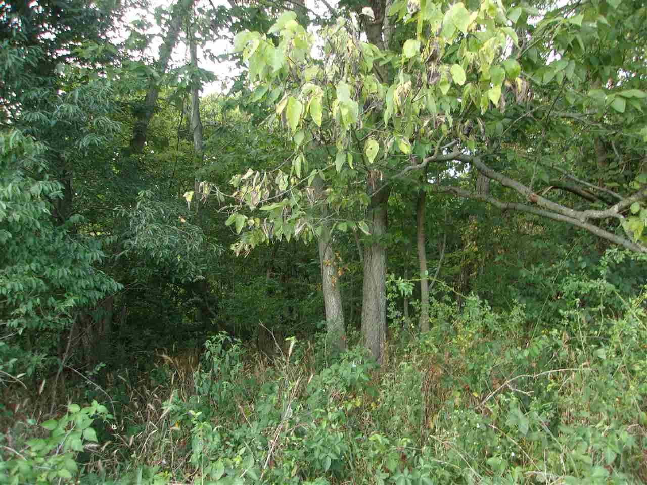 0 T T Wenz Road Dover, KY 41034 - Photo 24 of 35 Gallery Image 24