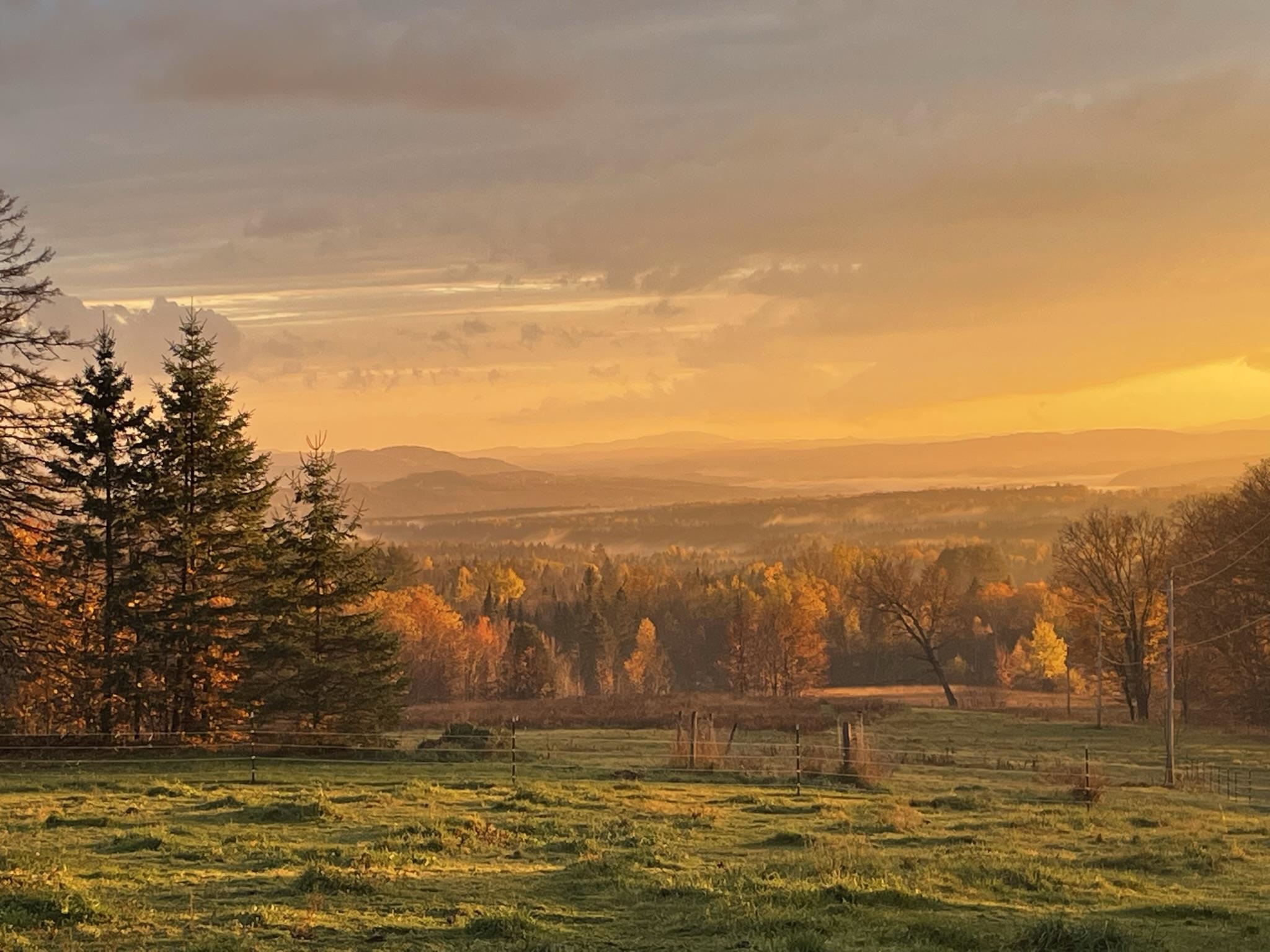 1417 Maple Ridge Road Newark, VT 05871 - Photo 46 of 60 Gallery Image 46