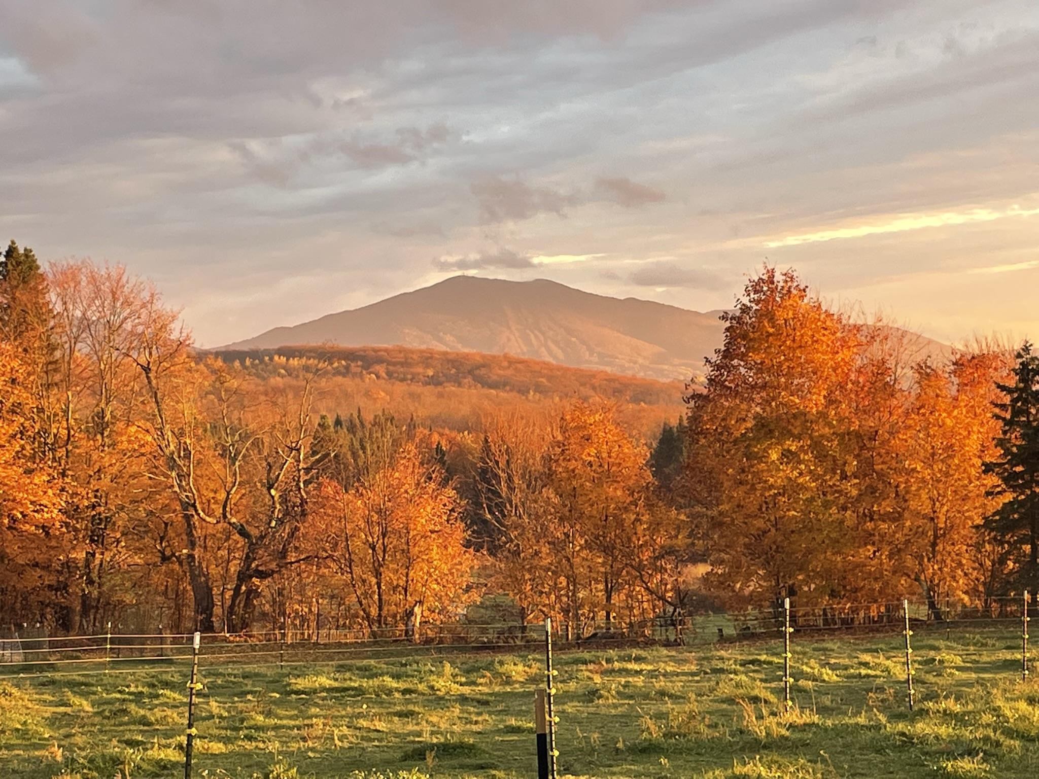 1417 Maple Ridge Road Newark, VT 05871 - Photo 47 of 60 Gallery Image 47