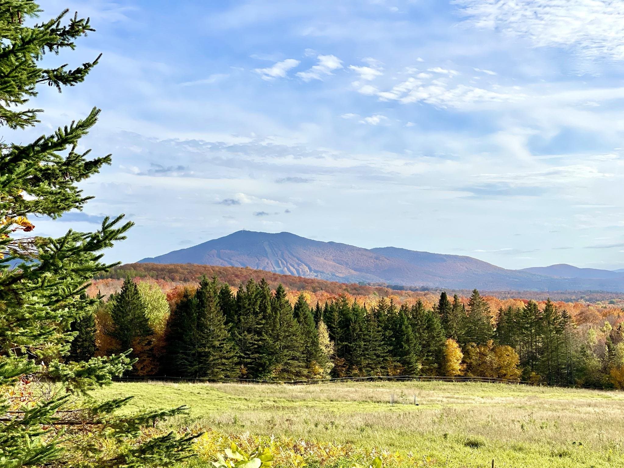 1417 Maple Ridge Road Newark, VT 05871 - Photo 50 of 60 Gallery Image 50