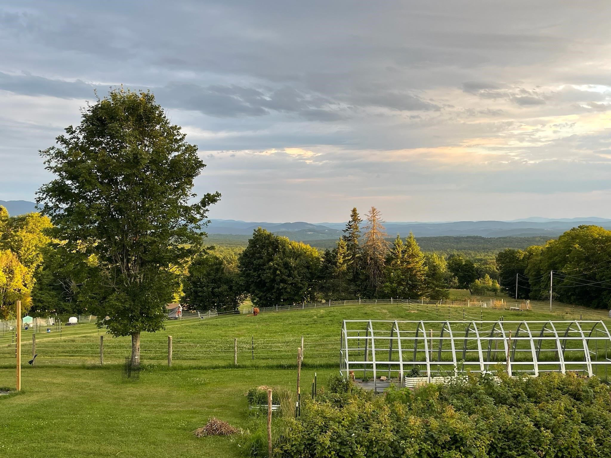 1417 Maple Ridge Road Newark, VT 05871 - Photo 56 of 60 Gallery Image 56