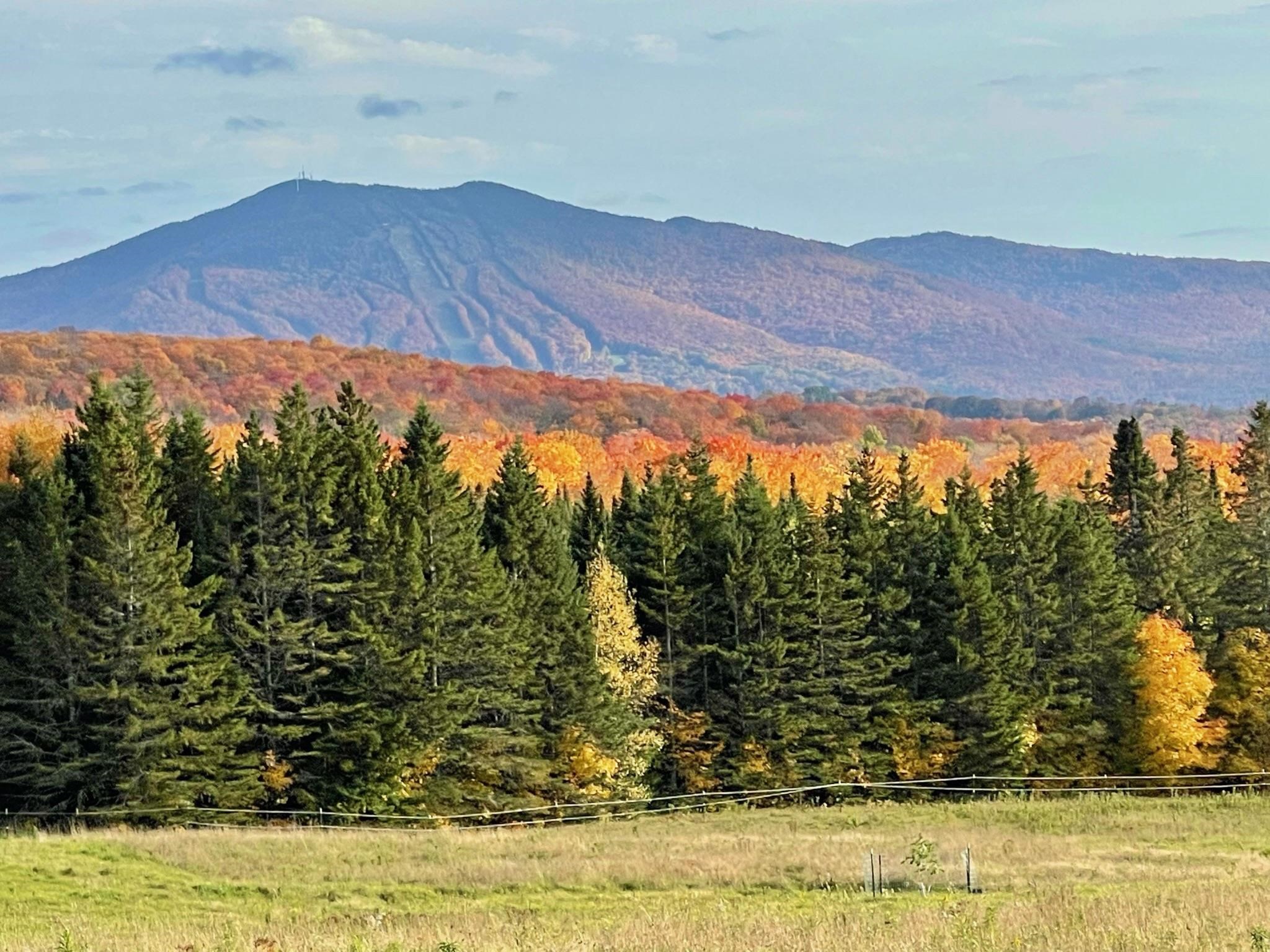 1417 Maple Ridge Road Newark, VT 05871 - Photo 58 of 60 Gallery Image 58