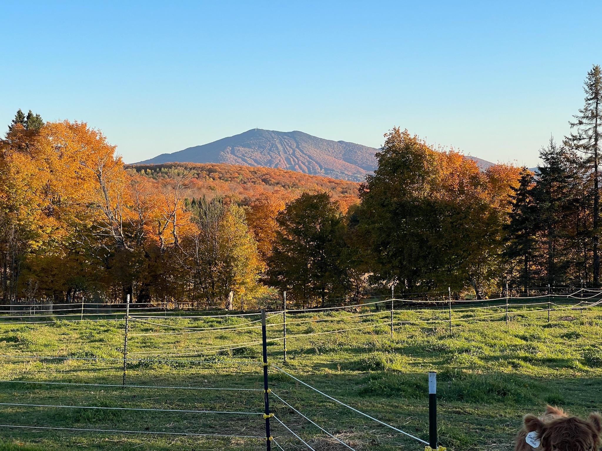 1417 Maple Ridge Road Newark, VT 05871 - Photo 59 of 60 Gallery Image 59