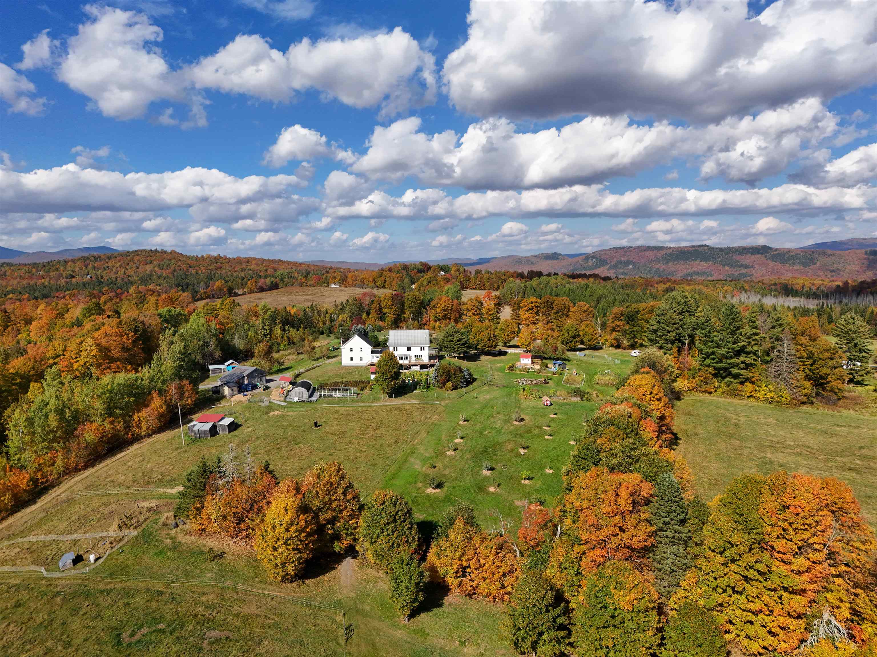 1417 Maple Ridge Road Newark, VT 05871 - Photo 8 of 60 Gallery Image 8
