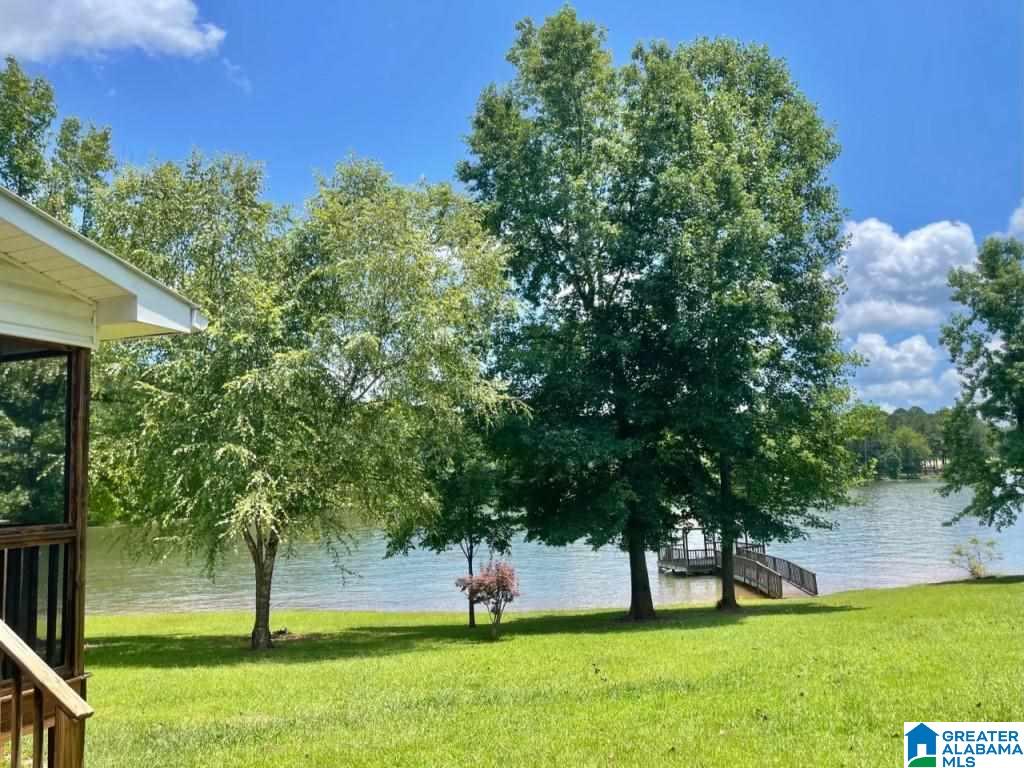 563 Wylie Road Wedowee, AL 36278 - Photo 4 of 18