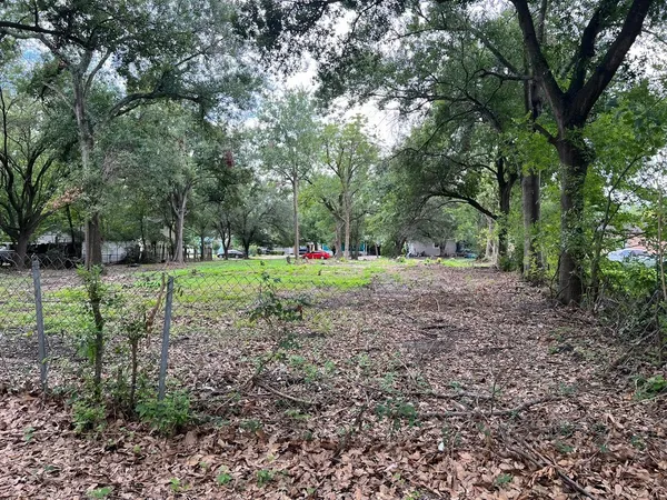 a view of a park with large trees