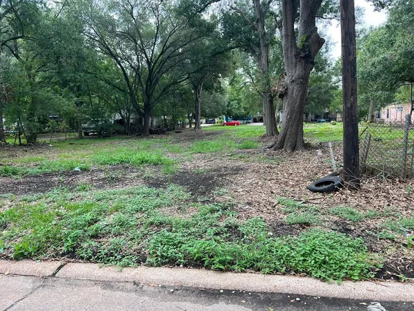 a view of a yard with a tree
