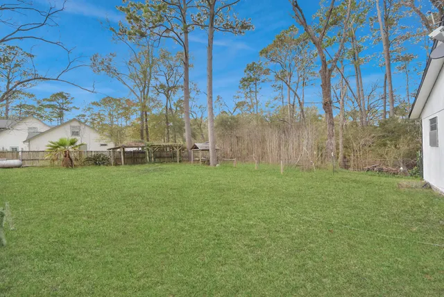 a view of a park with large trees