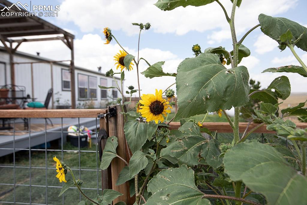 4615 South Yoder Road Yoder, CO 80864 - Photo 26 of 36