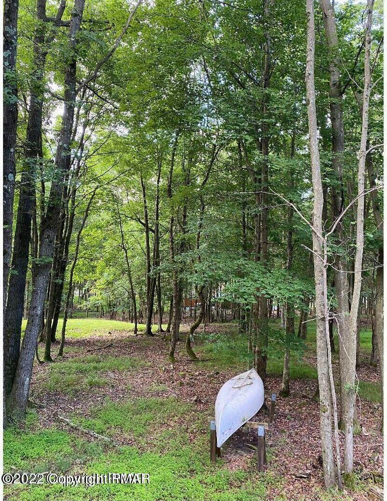 226 Summit Drive Albrightsville, PA 18210 - Photo 19 of 19 yard