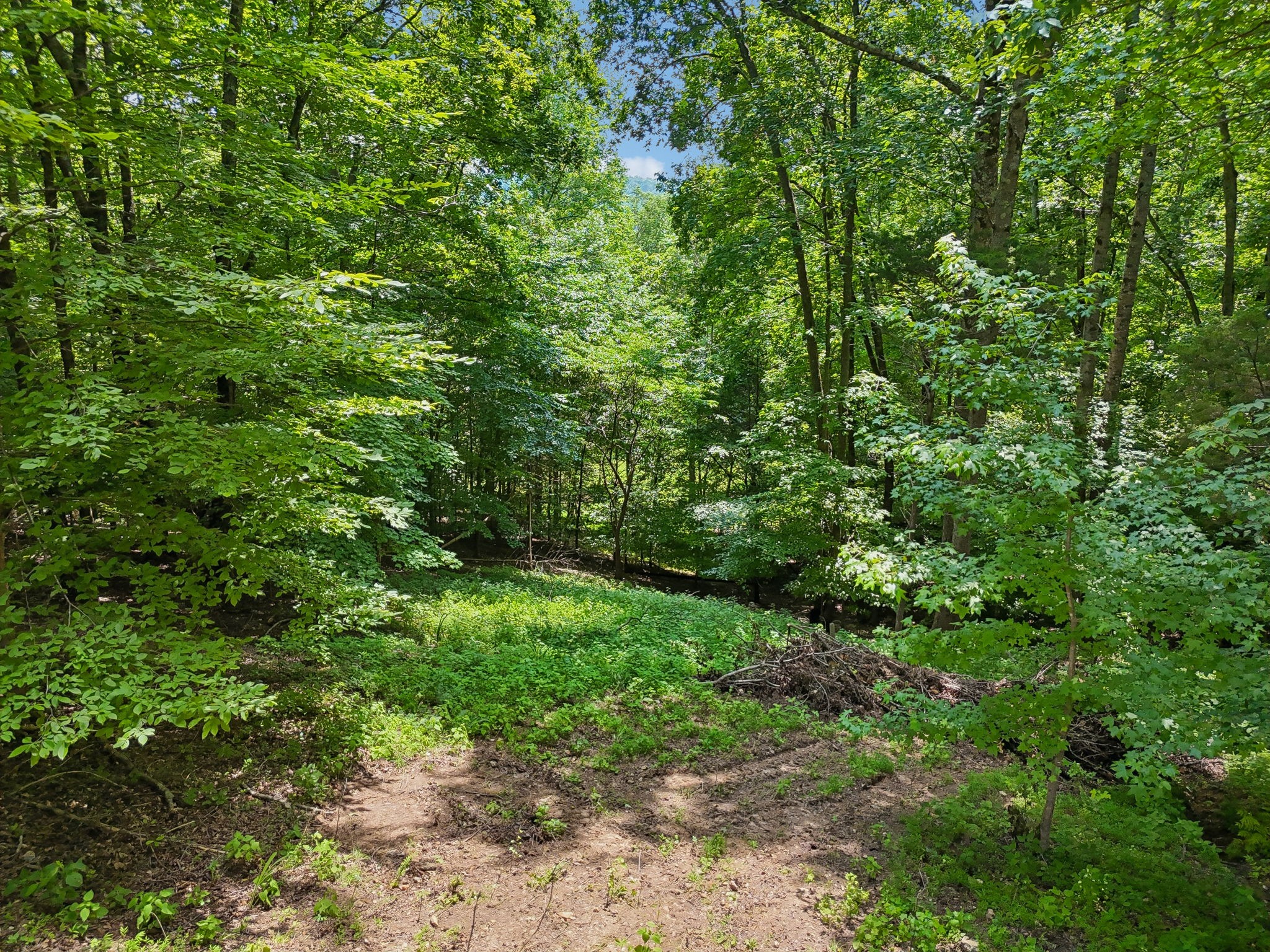 1682 Ridgeview Run Lynchburg, TN 37352 - Photo 56 of 67