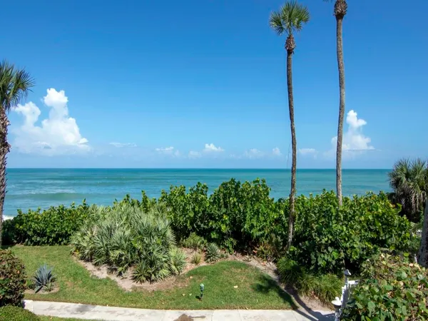 a view of a garden with a tree