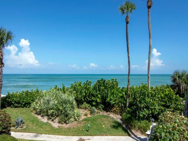 a view of a garden with a tree