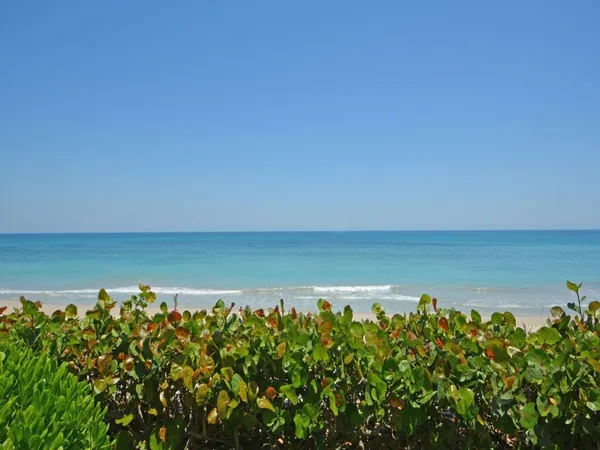 a view of beach and ocean