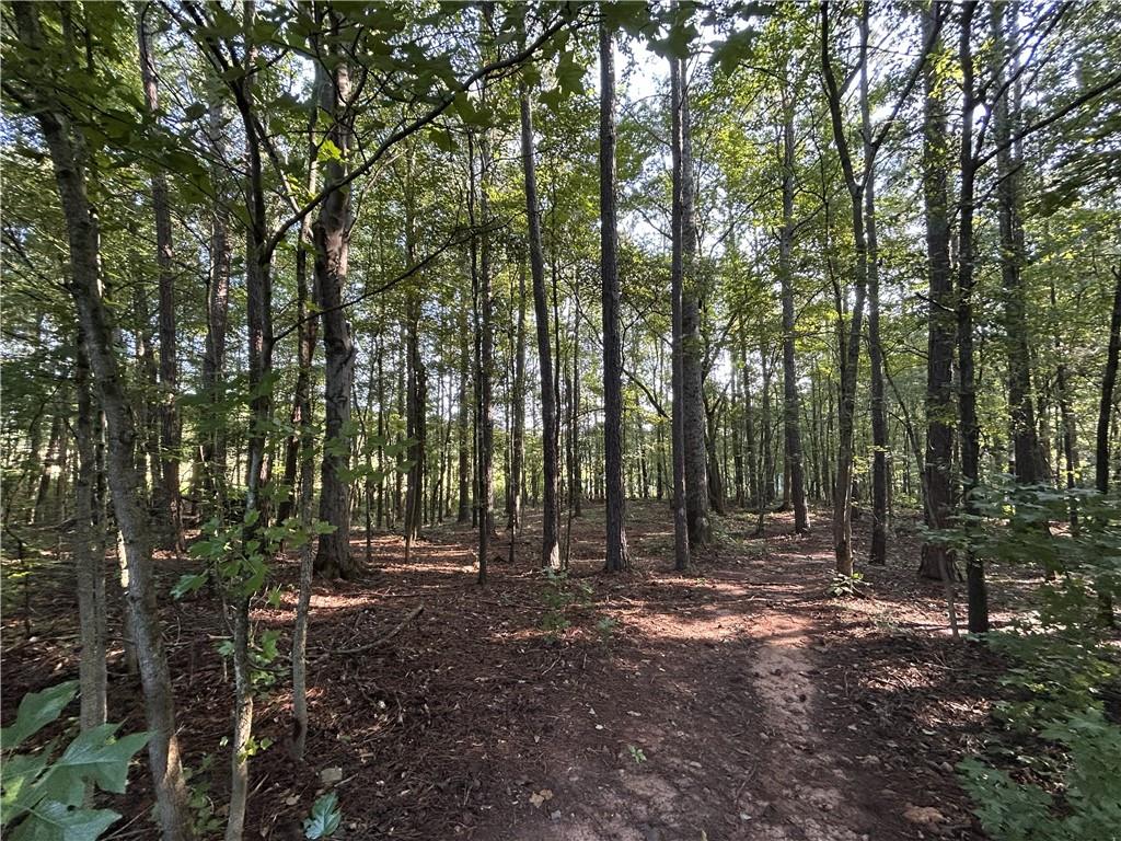 914 Whooping Creek Road Carrollton, GA 30116 - Photo 22 of 23 Gallery Image 22