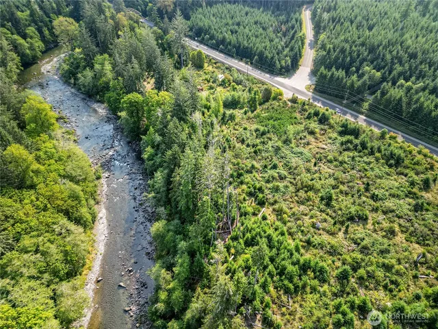 a view of a garden with a plant