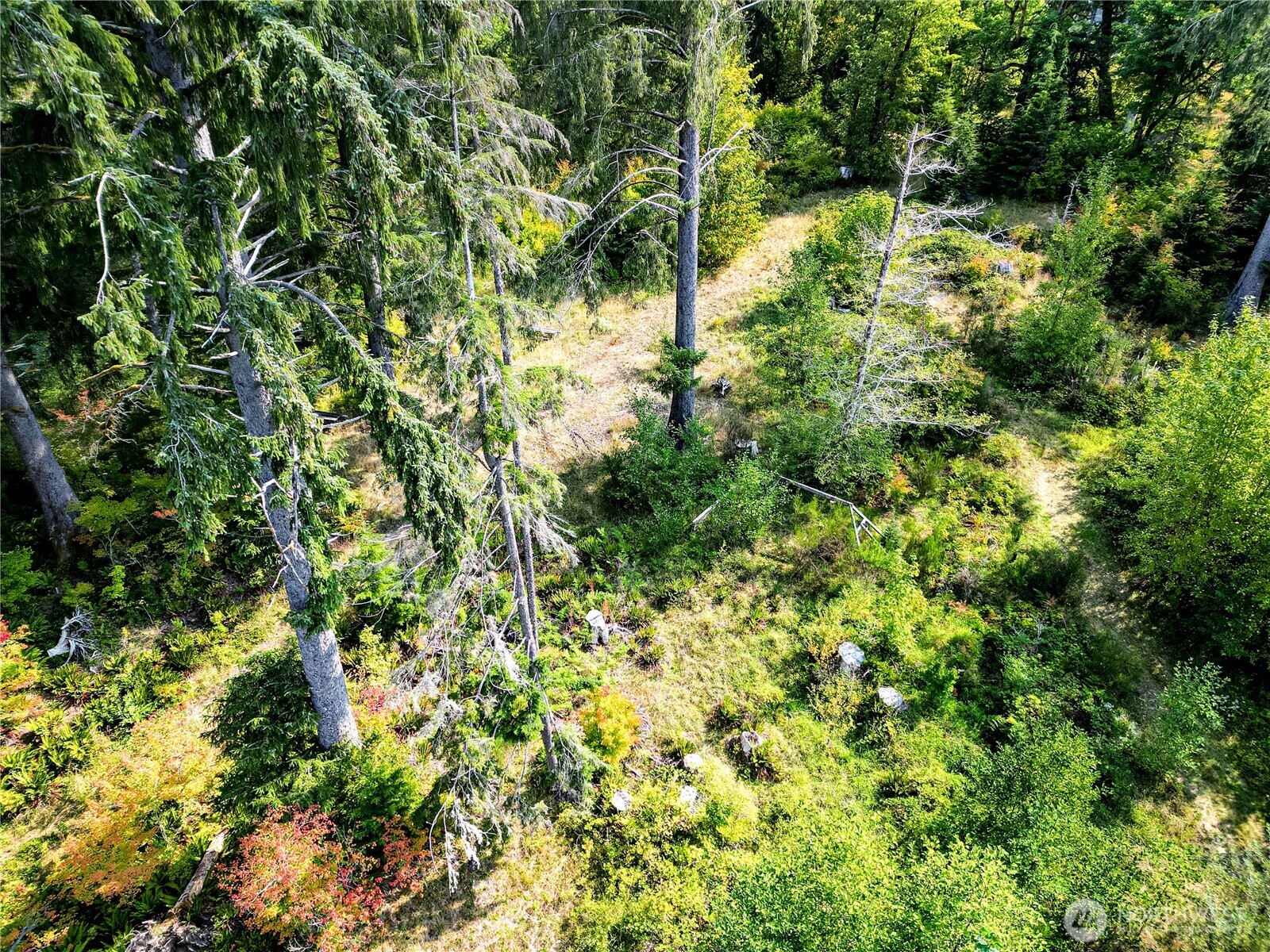 203503 Highway 101 Beaver, WA 98305 - Photo 16 of 40