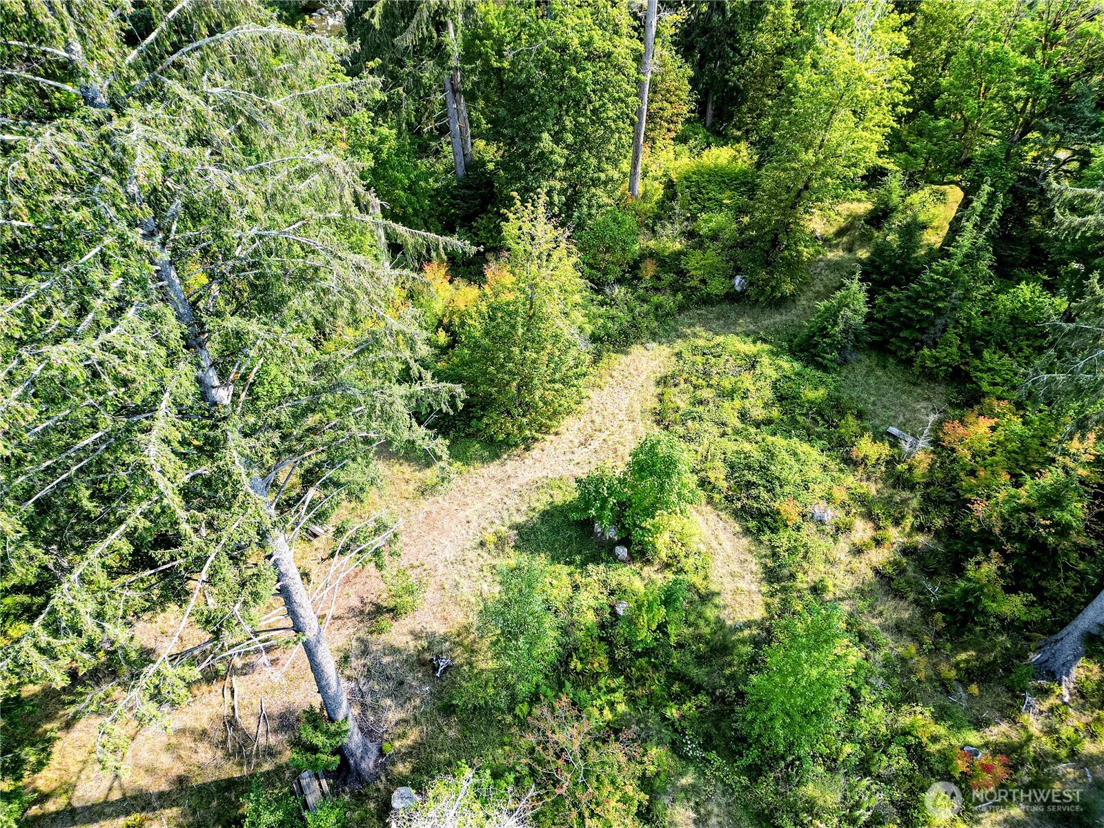 203503 Highway 101 Beaver, WA 98305 - Photo 19 of 40