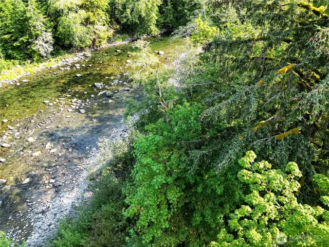 a view of a tree in a yard