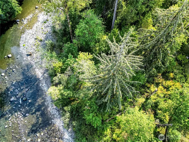 a plant view in yard