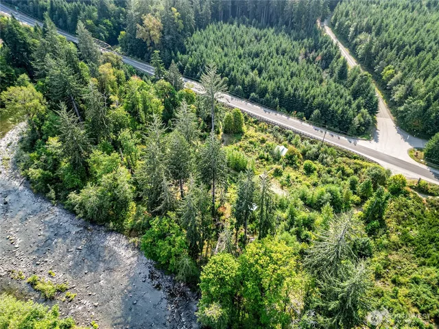 a view of a garden with plants