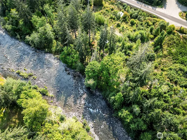 a view of a garden with a plant