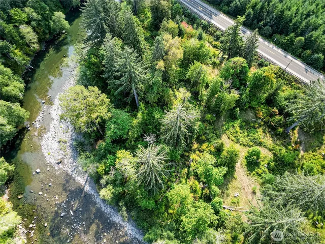 a view of a garden with plants