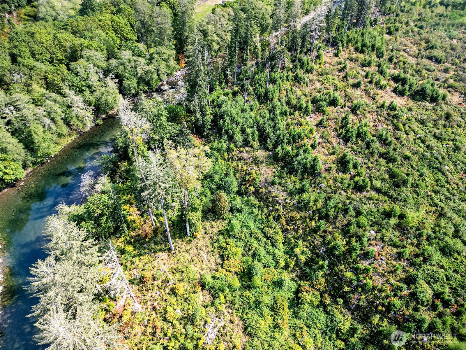 203503 Highway 101 Beaver, WA 98305 - Photo 34 of 40