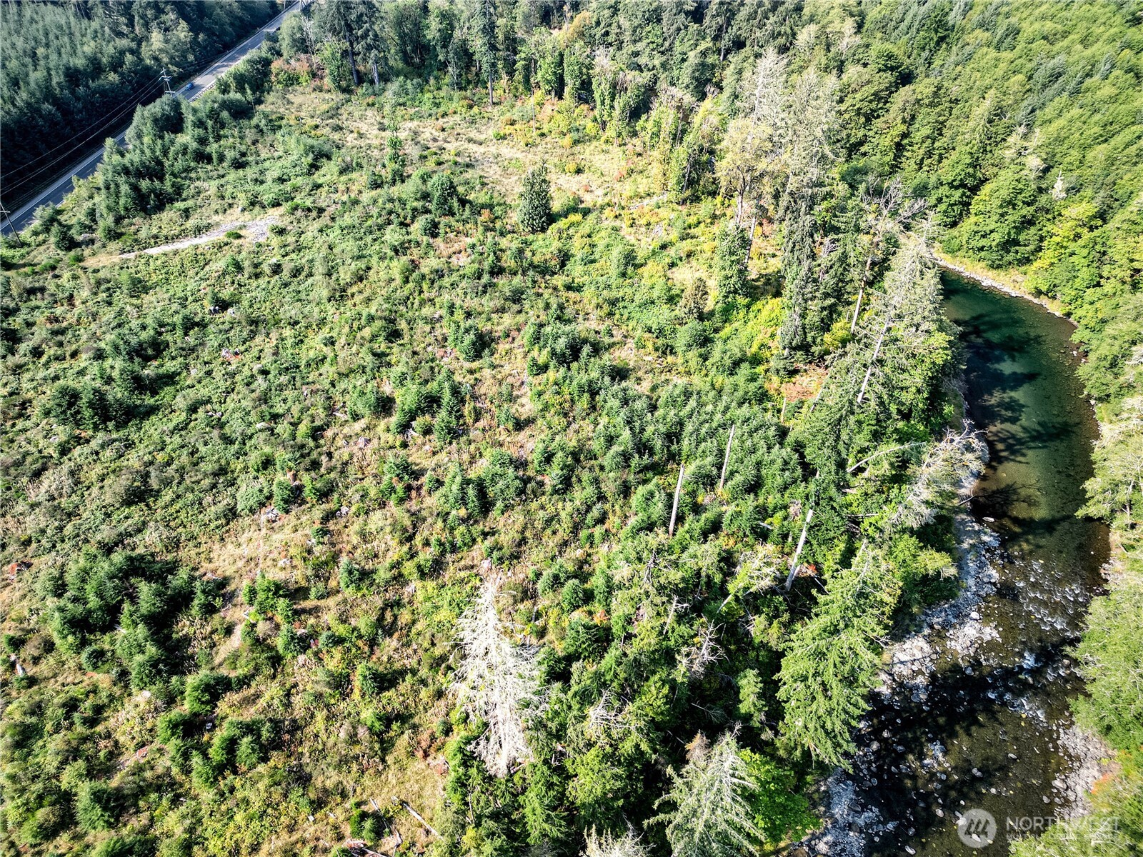 203503 Highway 101 Beaver, WA 98305 - Photo 35 of 40