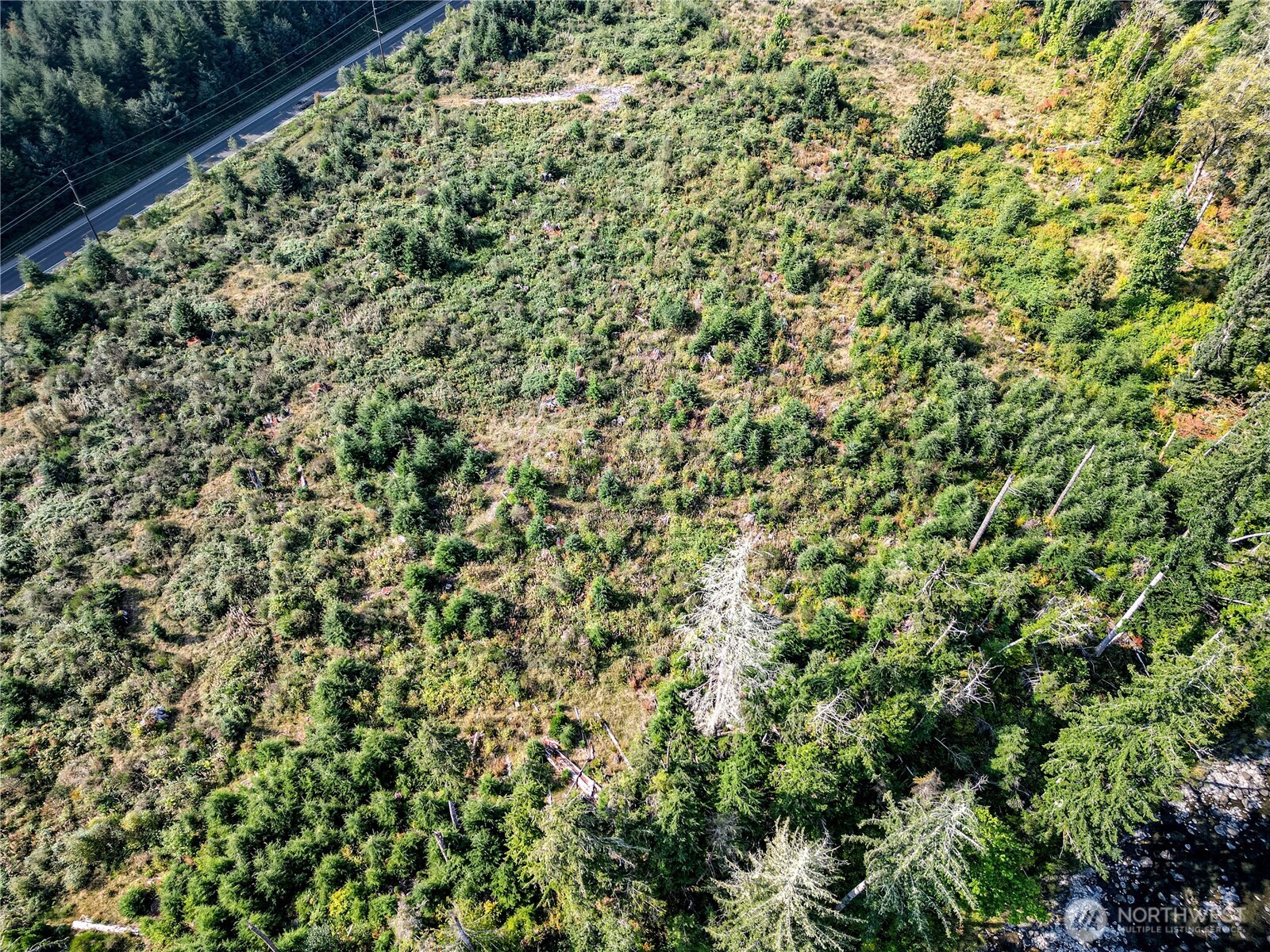 203503 Highway 101 Beaver, WA 98305 - Photo 39 of 40