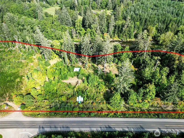 a view of a garden with a lot of flowers