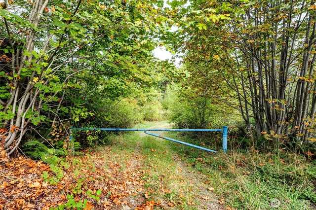a backyard of a house with lots of green space and lake view