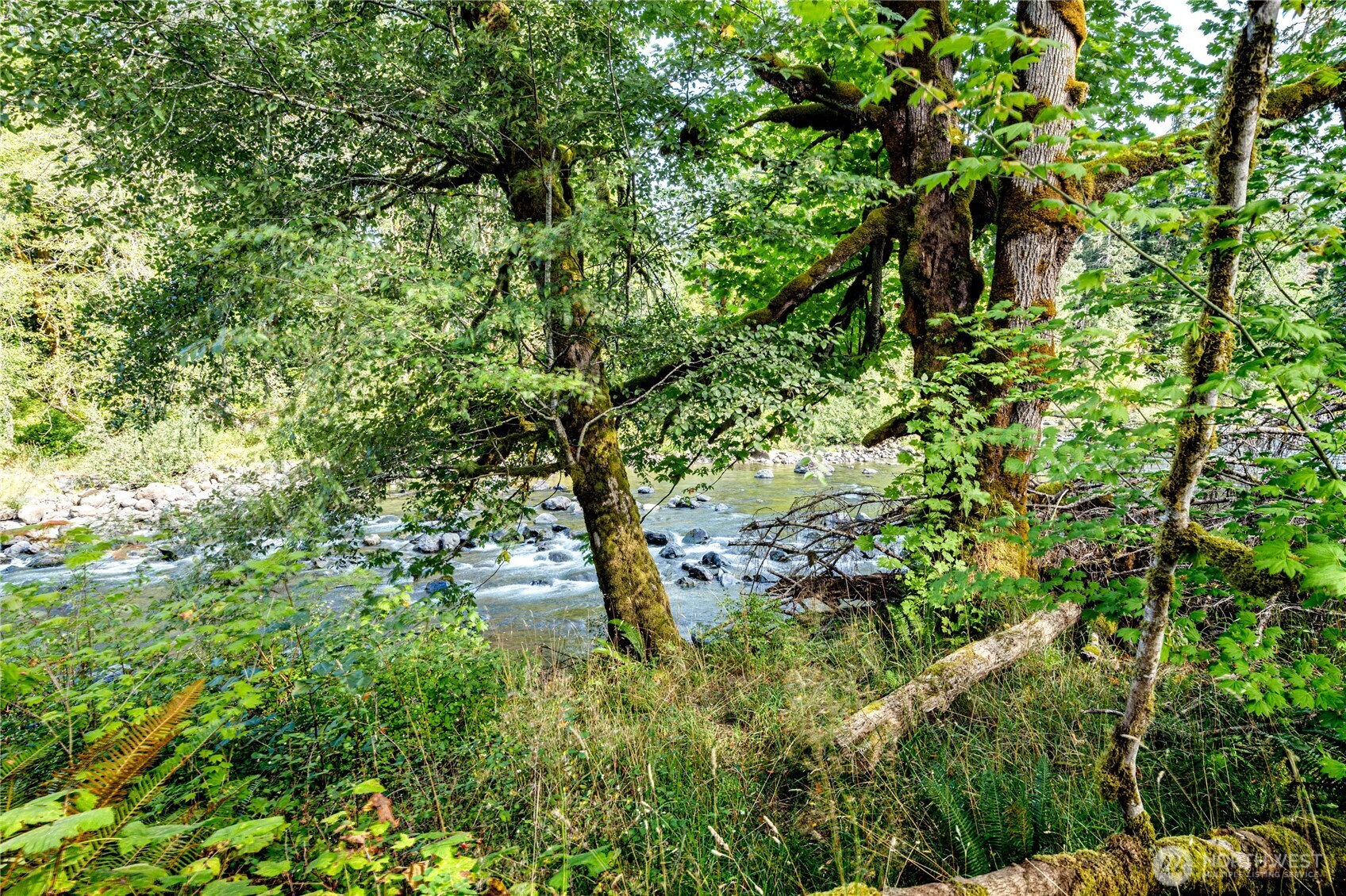 203503 Highway 101 Beaver, WA 98305 - Photo 9 of 40