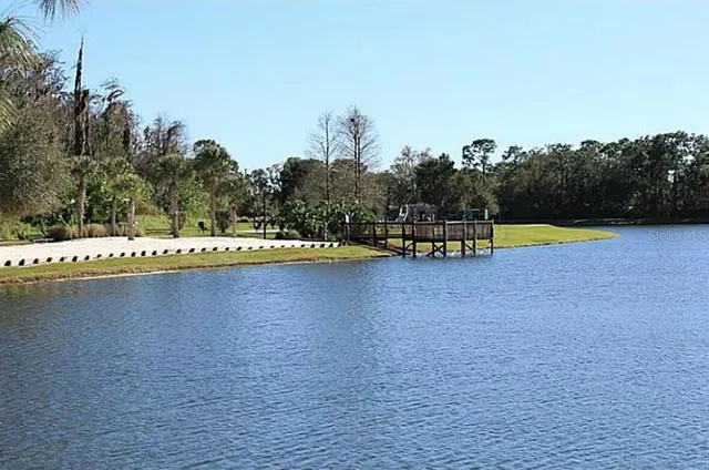 a view of a lake from a yard